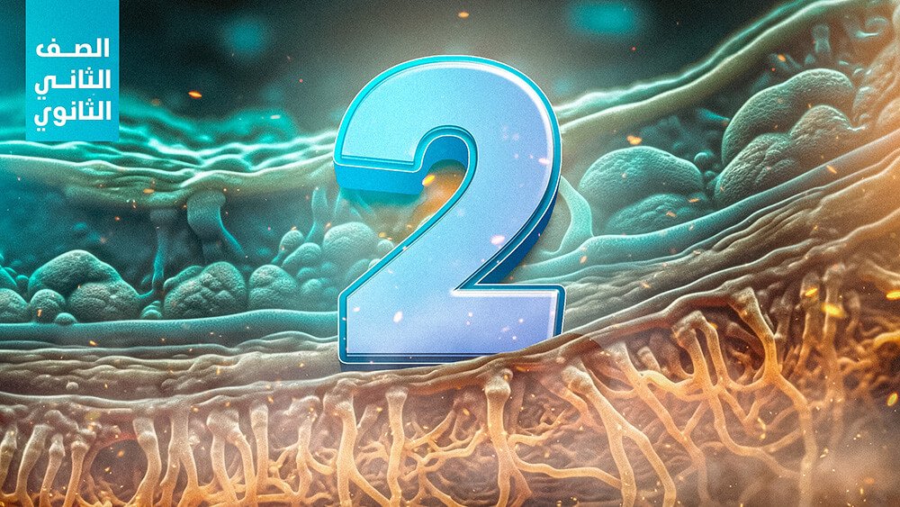 الدرس الثاني